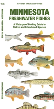 Paperback Minnesota Freshwater Fishes: A Folding Guide to Native and Introduced Species Book