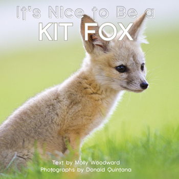 Board book It's Nice to Be a Kit Fox Book