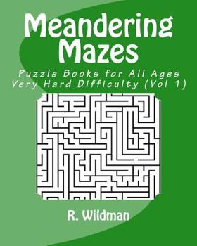 Paperback Meandering Mazes: Puzzle Books for All Ages - Very Hard Difficulty Book