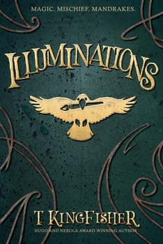 Paperback Illuminations Book