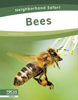 Bees (Neighborhood Safari Set 2)