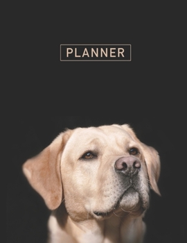 Paperback Planner: Labrador 2 Year Weekly Planning Organizer - 2020 - 2021 - January 20 - December 21 - Writing Notebook - Productive Dat Book