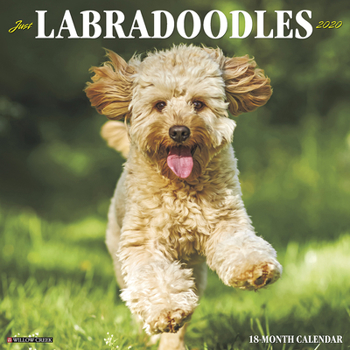 Calendar Just Labradoodles 2020 Wall Calendar (Dog Breed Calendar) Book