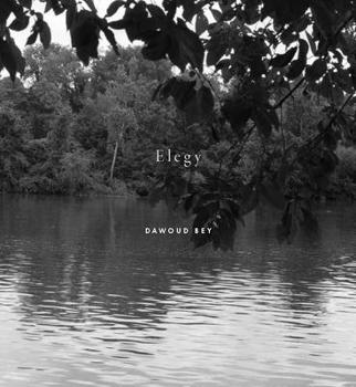 Hardcover Dawoud Bey: Elegy Book