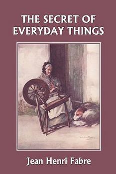 Paperback The Secret of Everyday Things (Yesterday's Classics) Book
