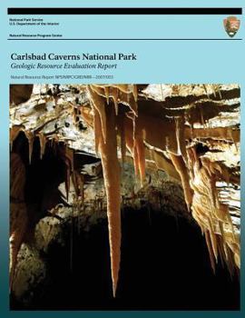 Paperback Carlsbad Caverns National Park: Geologic Resources Evaluation Report Book