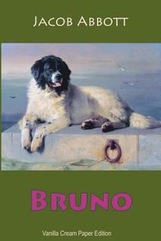 Paperback Bruno Book