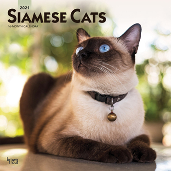 Calendar Siamese Cats 2021 Square Book