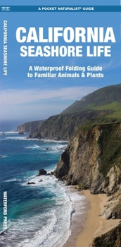 Paperback California Seashore Life: A Folding Guide to Familiar Animals & Plants Book