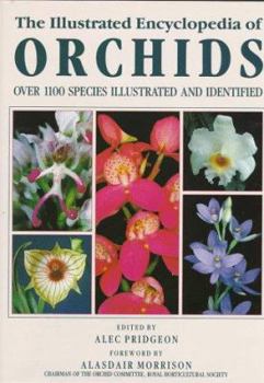 Hardcover The Illustrated Encyclopedia of Orchids Book