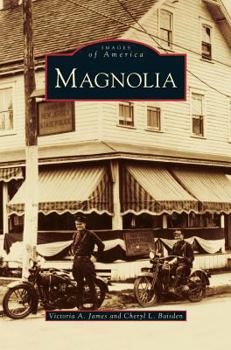 Hardcover Magnolia Book