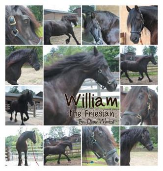 Hardcover William the Friesian Book