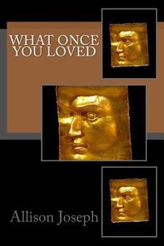 Paperback What Once You Loved Book