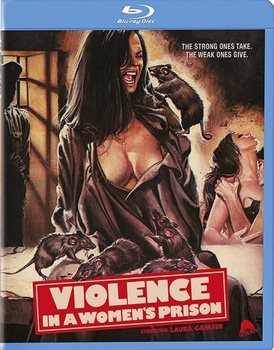 Violence in a Women's Prison