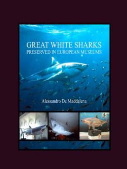 Hardcover Great White Sharks Preserved in European Museums Book