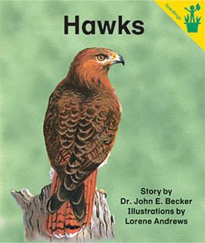 Paperback Early Reader: Hawks Book