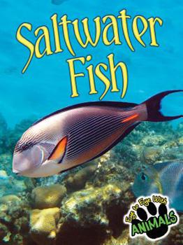 Library Binding Saltwater Fish Book