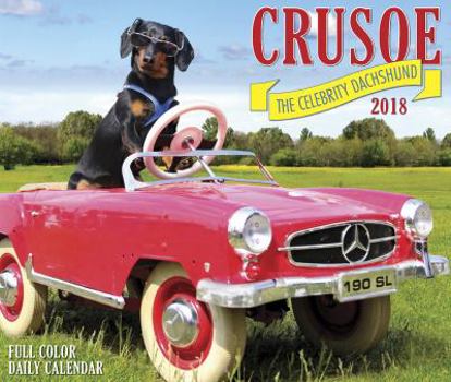 Calendar Crusoe the Celebrity Dachshund 2018 Box Calendar Book