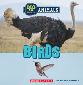 Paperback Birds (Wild World: Big and Small Animals) Book