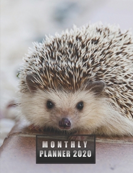 Monthly Planner 2020: NOTEBOOK + CALENDAR NOTEPAD / Diary / Agenda / Logbook: year at glance + 2 - page monthly layout + notes pages, large size (cute hedgehog on a cover)
