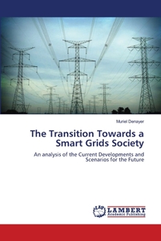 Paperback The Transition Towards a Smart Grids Society Book