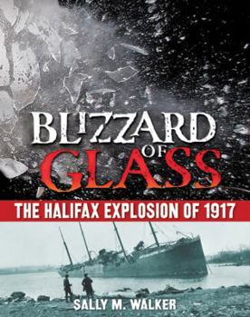 Hardcover Blizzard of Glass: The Halifax Explosion of 1917 Book