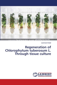 Paperback Regeneration of Chlorophytum tuberosum L. Through tissue culture Book