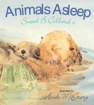 Hardcover Animals Asleep Book
