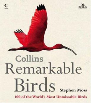 Hardcover Remarkable Birds Book
