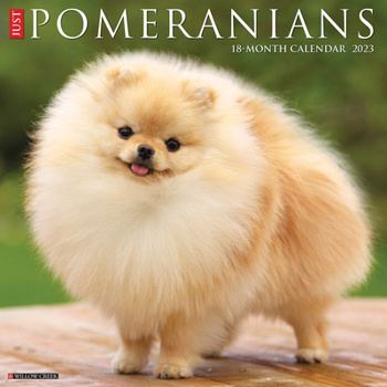 Calendar Just Pomeranians 2023 Wall Calendar Book