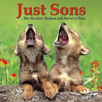 Hardcover Just Sons: The Mischief, Mayhem and Marvel of Boys Book