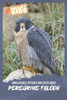 Paperback Unbelievable Pictures and Facts About Peregrine Falcons Book