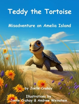 Hardcover Teddy the Tortoise, Misadventure on Amelia Island Book