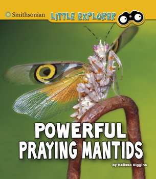 Paperback Powerful Praying Mantids Book