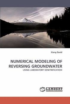 Paperback Numerical Modeling of Reversing Groundwater Book