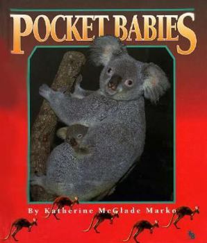 Hardcover Pocket Babies Book