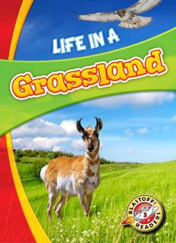 Life in a Grassland - Book  of the Biomes Alive