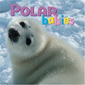 Board book Polar Babies Book