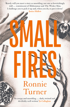 Paperback Small Fires Book