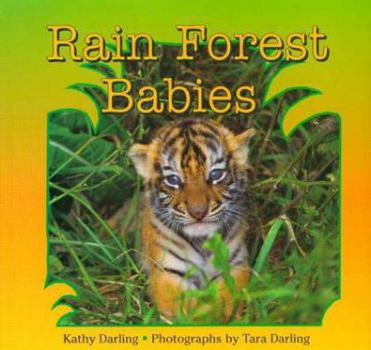 Hardcover Rain Forest Babies Book