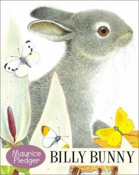 Board book Billy Bunny Book