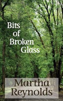 Paperback Bits of Broken Glass Book