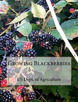 Paperback Growing Blackberries Book