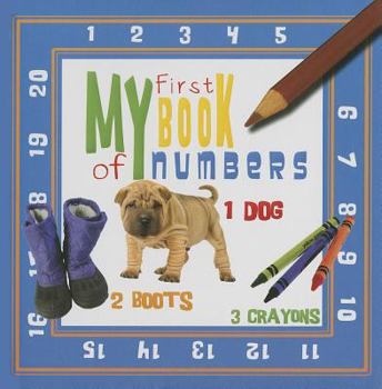 Board book My First Book of Numbers Book