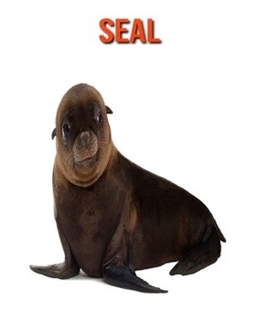 Seal: Amazing Facts about Seal