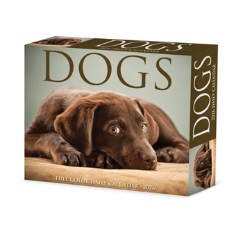 Home Dogs 2026 Box Calendar Book