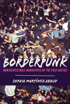 Borderpunk: Non-Respectable Narratives of the Post-Sixties (BorderVisions)