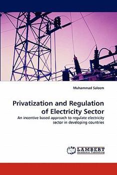 Paperback Privatization and Regulation of Electricity Sector Book