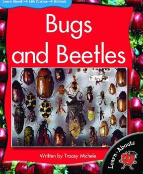 Paperback Bugs and Beetles Book