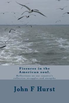 Fissures in the American Soul: Reflections on Our Country's Collective Struggles and Strengths